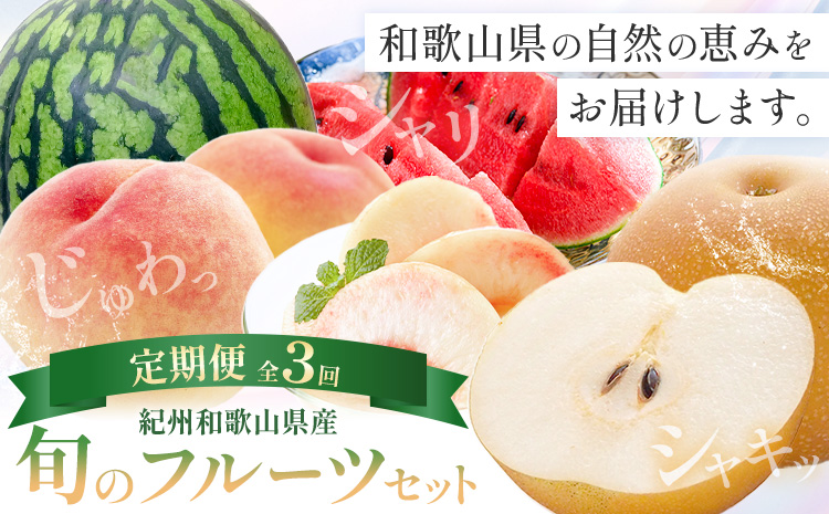 紀州 和歌山県産 旬の フルーツ セット 3ヶ月定期便 6月・7月・8月配送 小玉スイカ （ひとりじめ） 1玉 桃 約1.8kg 梨 約2kg 株式会社魚鶴商店《6月-8月頃出荷》和歌山県 日高川町 