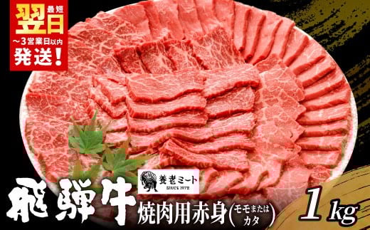 【最短発送】 贅沢！ 飛騨牛 モモまたはカタ 焼肉用 1kg 4～6人前 牛肉 和牛 肉 焼肉 BBQ 霜降り カルビ 赤身 モモ カタ 東白川村 岐阜 養老ミート
