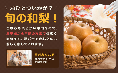 長野県産 溢れる果汁 ジューシーな 梨 幸水 豊水 約10kg 秀品 〈2025年8月下旬～9月下旬発送〉| 果物 くだもの フルーツ 梨 なし 幸水 豊水 長野県 信州 南信州 飯田市