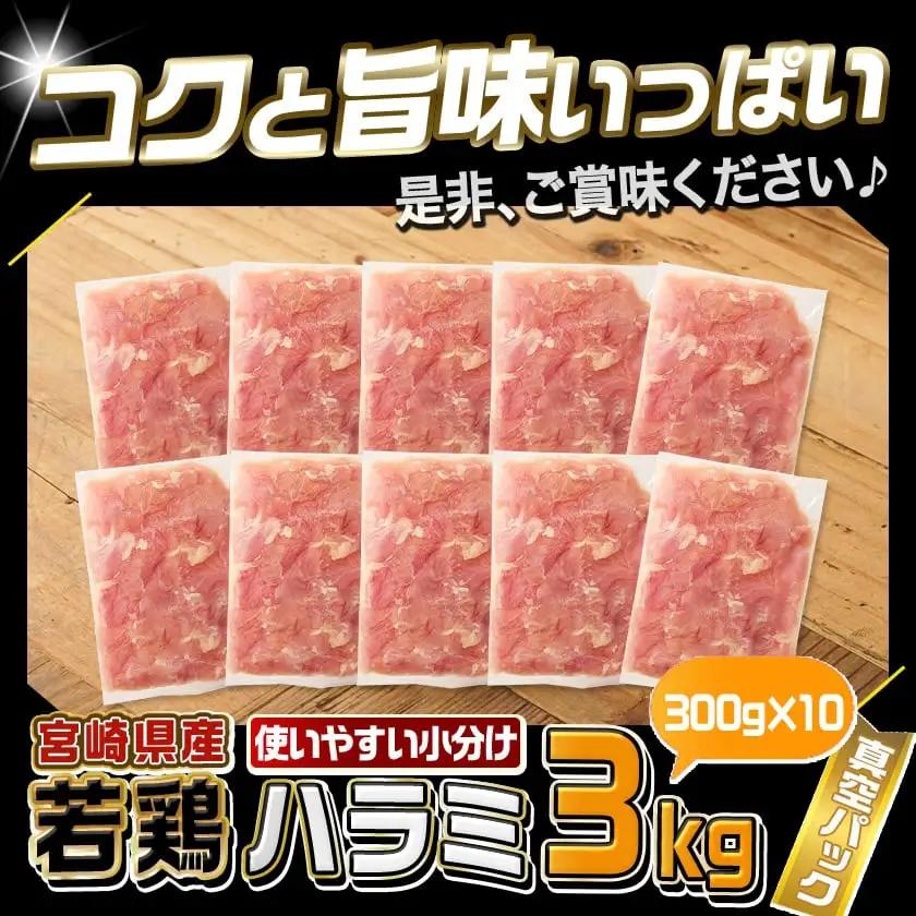 宮崎県産若鶏ハラミ3kg〔12-M606〕_(都城市) 宮崎県産若鶏 ハラミ 300g×10 希少部位 真空パック 真空冷凍 炭火焼 焼肉等炒め料理 小分け