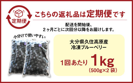 【2ヶ月毎6回 定期便】久住高原 手摘みブルーベリー 冷凍 500g 2袋 計6kg 小分け 栽培期間中農薬不使用 【2025年7月下旬より順次発送開始予定】
