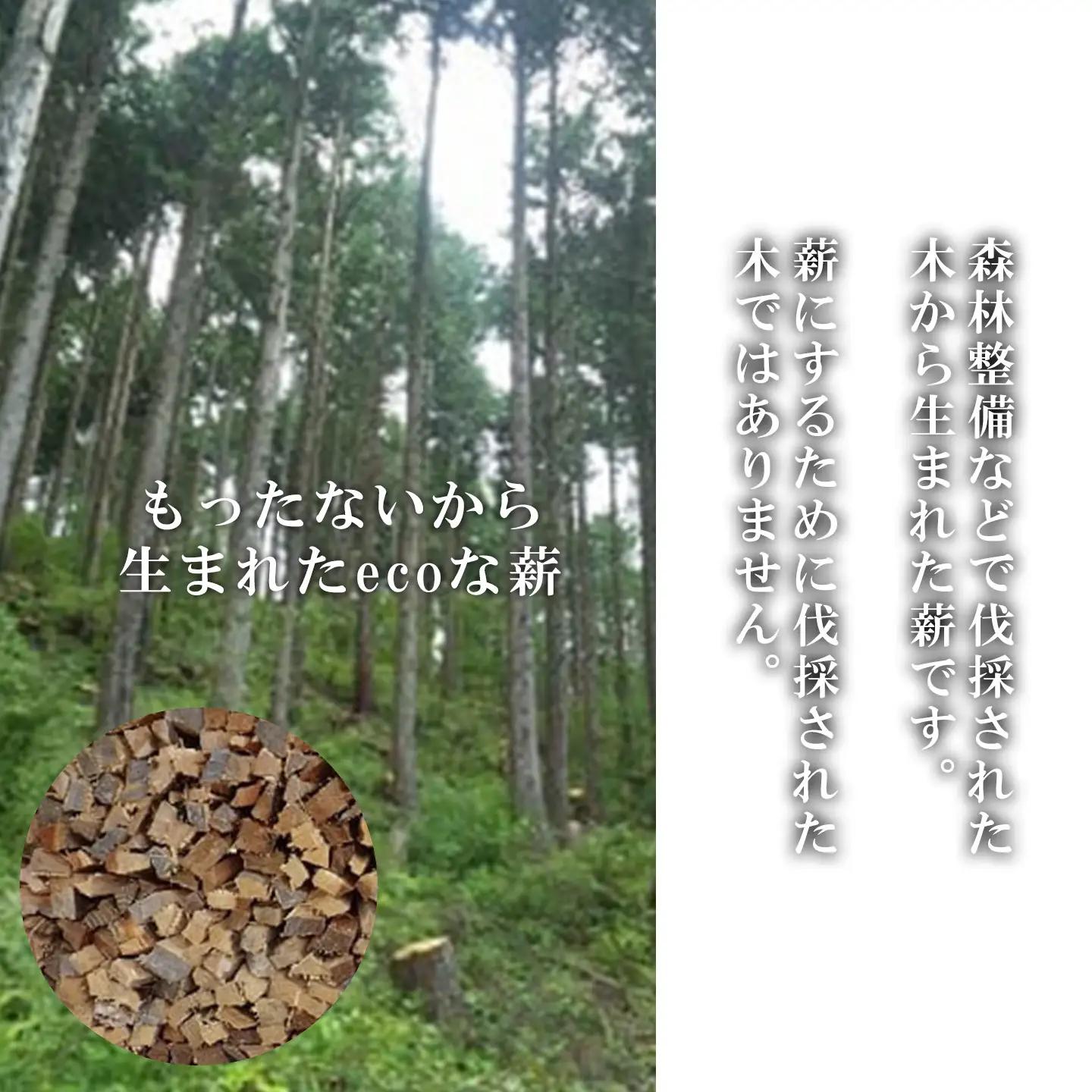 きこりの薪 A足柄山セット 針葉樹 薪