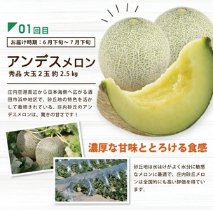 SD0095　【3回定期便】酒田の実り定期便2024 (アンデスメロン、刈屋梨、庄内柿)