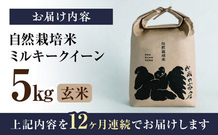 【先行予約/令和7年産新米】【全12回】自然栽培米ミルキークイーン　5 kg玄米×12回[AQCP017] 玄米 玄米 玄米 玄米 玄米