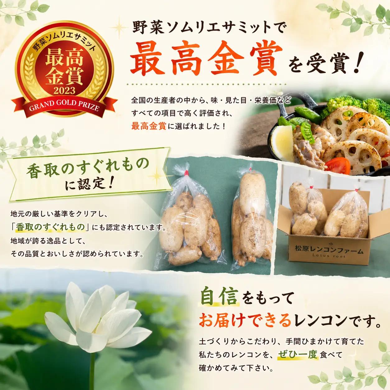 レンコン 2kg 訳あり 最高金賞 受賞 蓮根 れんこん MTB001