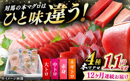 【全12回定期便】 対馬産 本マグロ 4種 計1.1kg（赤身/中トロ/大トロ/ネギトロ）[WAH039] マグロ まぐろ トロ