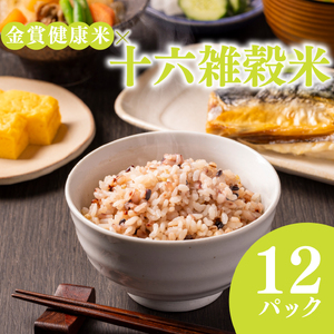 ご飯パック 金賞 健康米 十六雑穀米  120g×12個入り 国産 レンチン 御飯 ごはん パック ご飯 パックライス
