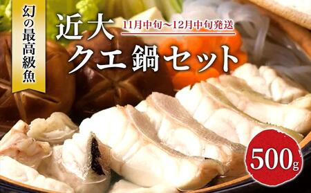 近大クエ鍋セット ( 500g ）こだわりだしぽん酢付き【2025年11月中旬～12月中旬発送】
