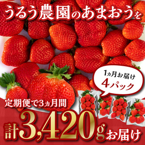 【定期便 3回】うるう農園の特別栽培あまおう サイズ色々4パック1140g×3回 