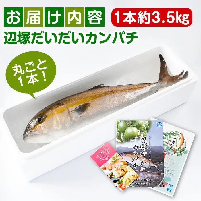 カンパチ 鮮魚 約3.5kg 1本 産地直送 鮮魚BOX【高山漁業協同組合】B08002