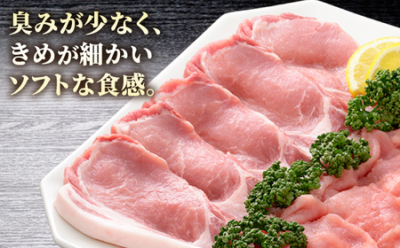 肥前さくらポーク とんかつ用 10枚入り[HAM047]豚 ロース とんかつ 豚肉 トンカツ