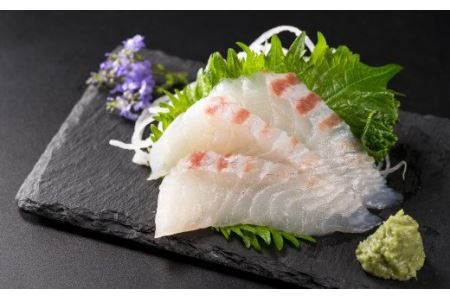 真鯛 刺身用スライス 400gセット（100g × 4パック） たい 鯛 OB-7