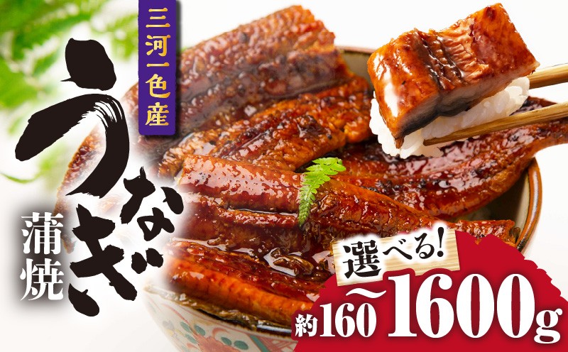 
                  三河一色産うなぎ蒲焼 ・O065-SKU
                