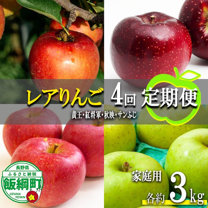 【ふるさと納税】 珍しい レア 人気 旬の りんご 〔 定期便 〕 家庭用 3kg × 4回 永野農園 沖縄県への配送不可 令和8年度収穫分 長野県 飯綱町 〔 信州 果物 フルーツ リンゴ 林檎 長野 予約 農家直送 〕発送時期：2026年8月中旬〜2026年12月中旬