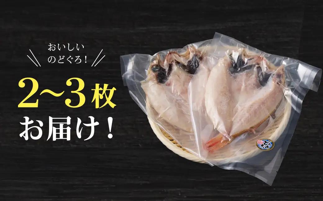 【どんちっちブランド】大きな「のどぐろ一夜干し（2～3枚）」 魚介類 魚貝類 魚 のどぐろ 干物 干もの 一夜干し のどぐろ一夜干し 【136_1995】