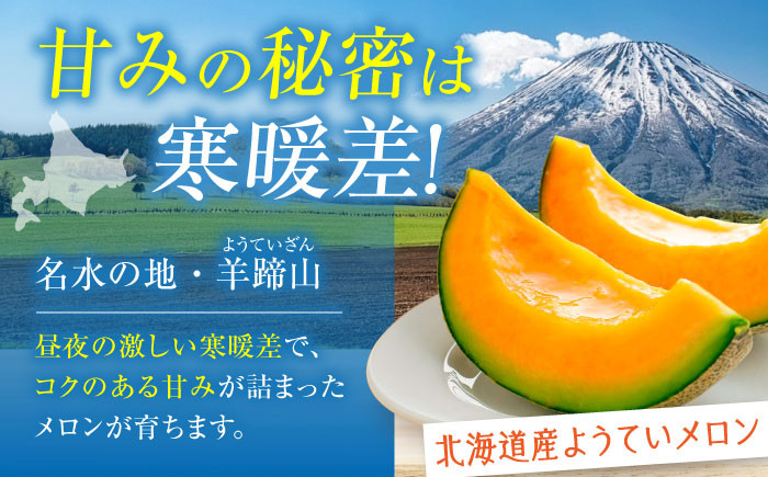 先行予約 数量限定 メロン 赤肉 フルーツ 果物 北海道 産地直送