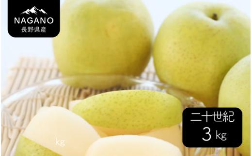 MS36 梨 二十世紀（長野県産秀品） 約3kg / 2026年9月上旬～9月下旬頃 配送予定 // 長野県 南信州 梨 なし ナシ 二十世紀 20世紀 贈答