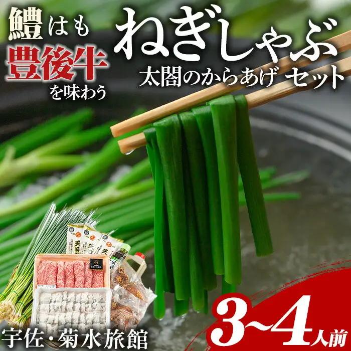 ねぎしゃぶ＋太閤からあげ(7品)ねぎしゃぶ しゃぶしゃぶ おおいた和牛 鱧 はも 鍋 お鍋 唐揚げ からあげ セット【101500502】【菊水旅館】