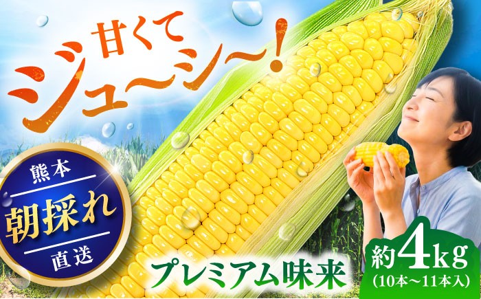 
                  【先行予約】【2027年5月中旬より順次発送】スイートコーン(プレミアム味来) 約4kg（10～11本）/ とうもろこし トウモロコシ 玉蜀黍 スイートコーン 甘い 旬 ジューシー 大容量 焼きとうもろこし 茹でとうもろこし BBQ バーベキュー 熊本 熊本県 菊陽町 九州 【なかむら農園】[BHCJ004]
                