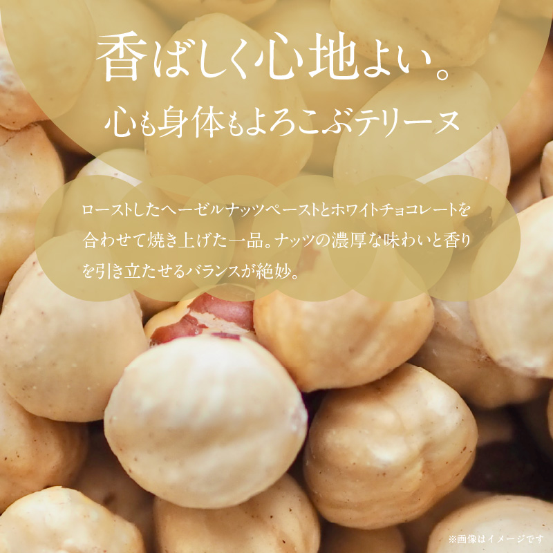 【テリーヌ専門店L】（約６００g） ローストヘーゼルナッツのテリーヌ【グルテンフリー・保存料不使用】ショコラ スイーツ チョコレート H173-028