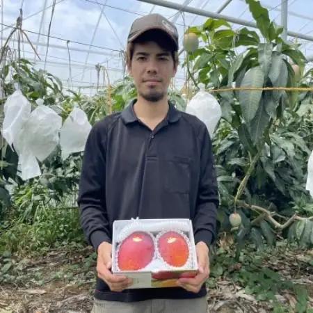 【2026年6月末から順次発送・訳あり】仲本マンゴー園のアーウィンマンゴー1kg(2～4玉)【配送不可地域：離島】【1747516】