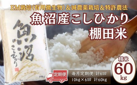 【令和7年 定期便】魚沼産コシヒカリ棚田米 60kg (10キロ×6回) 佐藤農場 | 新潟県 コシヒカリ おこめ