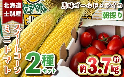 
            【B7020】＜数量限定＞北海道士別市産 朝採りスイートコーン (8本) ＆ミニトマト アイコ(約500g) 2種セット【2025年8月中旬以降順次発送】コーン トマト ミニトマト とうもろこし とまと 期間限定 旬 野菜 甘い 北海道産 【ネオアグリプロジェクト株式会社】
          