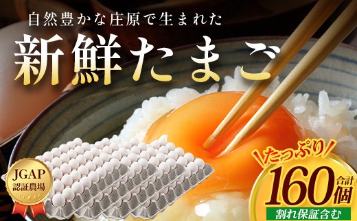 配送月選択可 新鮮 たまご 160個 | 自然豊かな庄原で生まれた 新鮮たまご 広島県 庄原市 卵 たまご 玉子 タマゴ 鶏卵 生卵 ワケアリ 訳アリ MSサイズ～2Lサイズ サイズ混合 サイズ指定不可