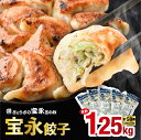 【ふるさと納税】【 ぎょうざの宝永 】 宝永 餃子 （ 250g × 5袋 ）合計 1.25kg ギョウザ 惣菜 総菜 冷凍餃子 焼き餃子 水餃子 おかず おつまみ つまみ 鶏肉 ミンチ もちもち お肉 肉汁 冷凍 お弁当 ふるさと納税 北海道 苫小牧市 おすすめ ランキング プレゼント ギフト