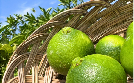 訳あり 有田みかん 青切 3kg (サイズ混合) 家庭用 頑固オヤジのこだわりみかん ※2026年7月下旬～2026年9月中旬頃より順次発送予定 【krf001-c-3】