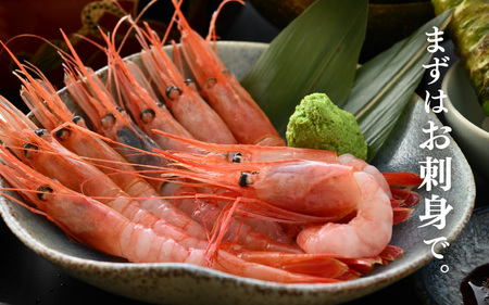 鮮度抜群！三国甘海老 550g 【甘海老 あまえび アマエビ えび 海老 有頭 刺身 生食 海鮮 海産物 魚貝類 魚介類 新鮮 冷凍 三国】 [A-18701]