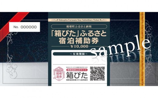 【箱根町】箱ぴたふるさと宿泊補助券（30,000円分） | 旅行 観光 旅行券 旅行クーポン クーポン 箱根町ふるさと納税 神奈川県ふるさと納税 神奈川県 箱根町