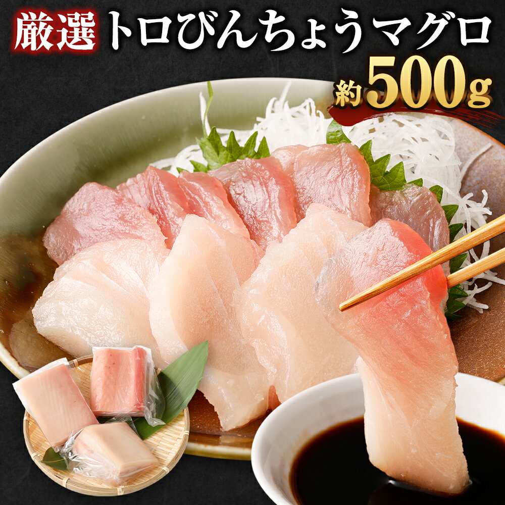 【ふるさと納税】 【訳あり】 厳選 トロびんちょうマグロ 約500g ふるさと納税限定 天然 とろびんちょう びんながまぐろ びんとろビントロ ビンチョウマグロ 魚 惣菜 刺し身 冷凍 故郷納税 送料無料