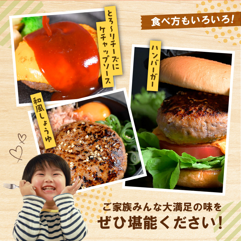 117-05　オアシス九州　熊本県産あか牛ハンバーグ150ｇ×7個