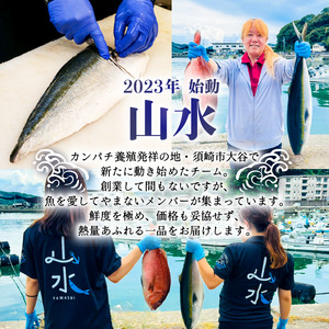 お刺身セット 約600g 鮮魚 詰め合わせ 刺身盛り合わせ 簡単 産地直送 海鮮グルメ
