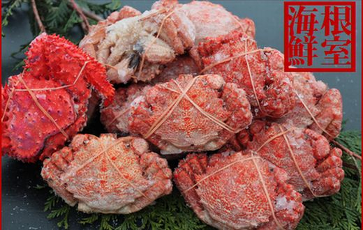【北海道根室産】クリガニ12～14尾(計2.5kg前後)、花咲ガニ1尾