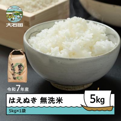 ふるさと納税 大石田町 米 令和7年産 はえぬき 無洗米 5kg 順次発送 ap-hamxa5