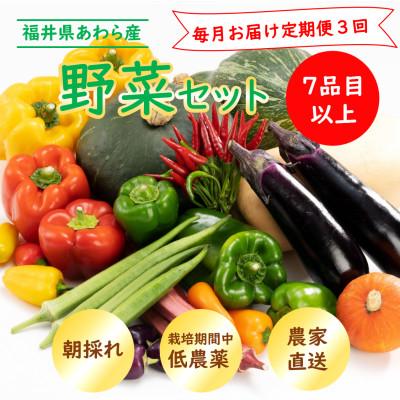 ふるさと納税 あわら市 【毎月定期便】農家直送 旬の野菜セット 7品目以上全3回