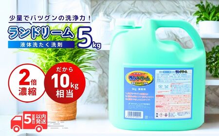 2倍濃縮 洗濯洗剤 ランドリーム 5kg (5kg×1個) 詰め替え | 洗濯洗剤 洗剤 洗濯洗剤 洗剤 洗濯洗剤 