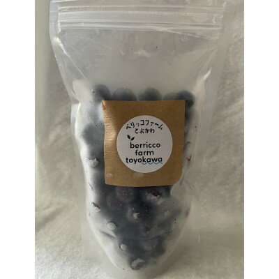 【ふるさと納税】毎日の食卓にベリーを!完熟ブルーベリー冷凍パック詰め合わせ　250g×4個【配送不可地域：離島】【1602934】