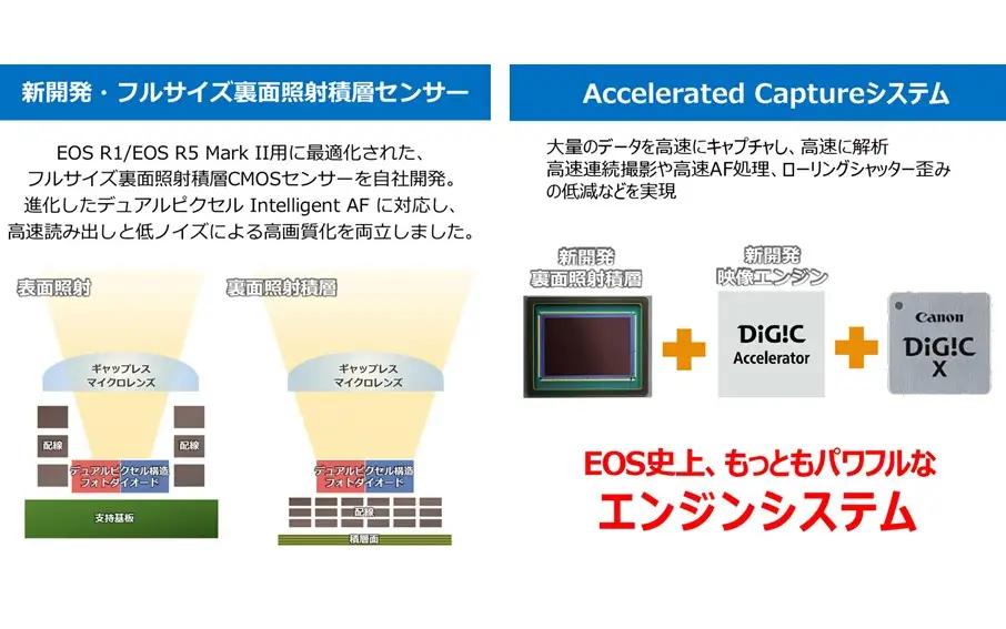 【Canon】 キヤノン ミラーレス カメラ EOS R5 MarkⅡ レンズキット キャノン 一眼 家電_0048C