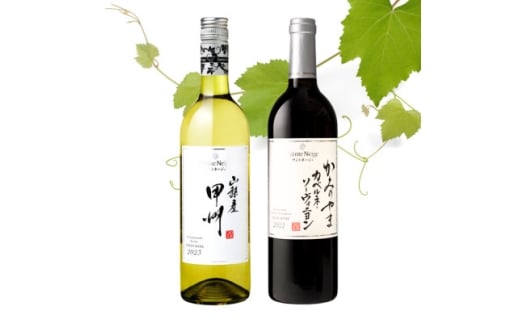 サントネージュワインが贈る甲州/カベルネソーヴィニヨン 白赤 計2本セット【1613586】
