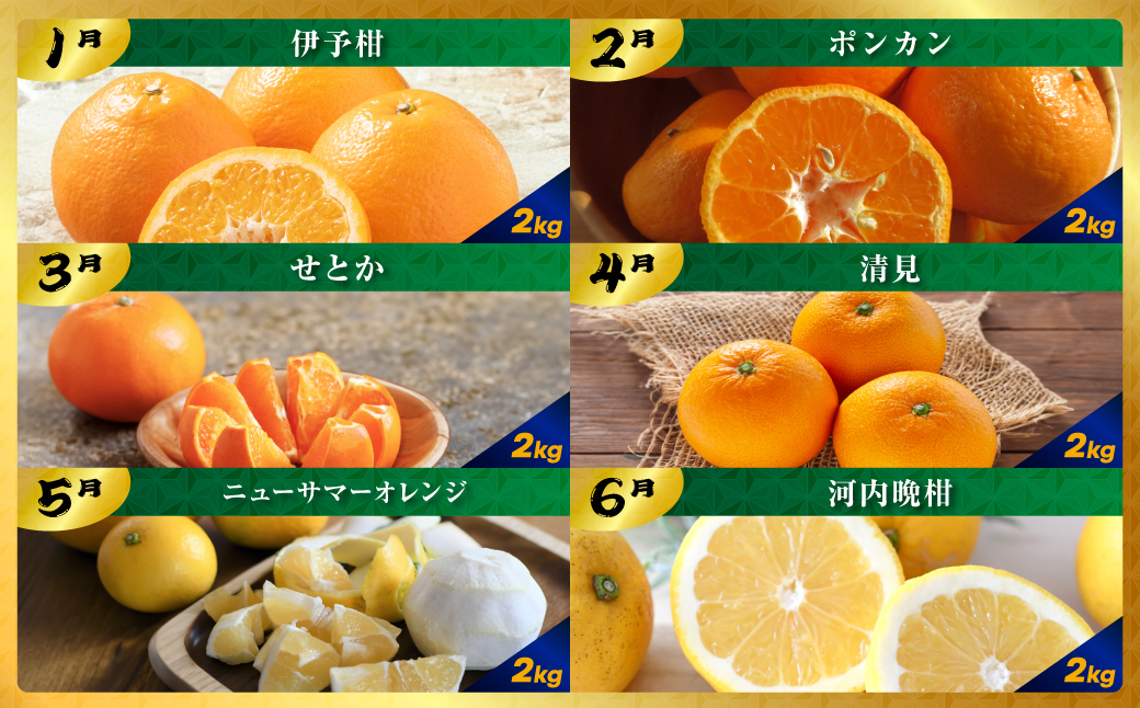 【発送月固定定期便】毎月届く!みかんのカレンダー便　～12ヶ月の旬を旅する～【H31-62】全12回 YWTAC051