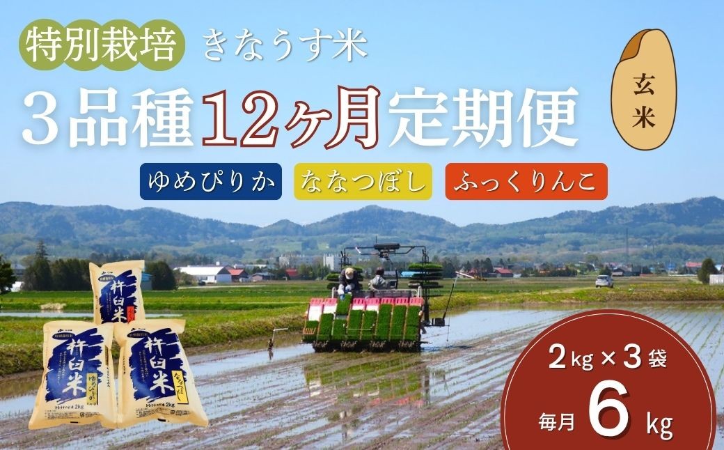 
                  【玄米12ヶ月定期便食べ比べセット】特別栽培「きなうす米」 毎月3品種×2kg計6kg　Q003
                