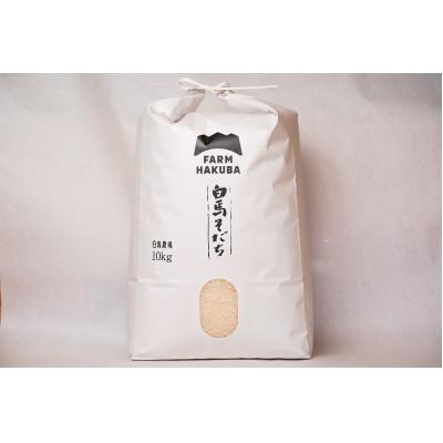 ふるさと納税 白馬村 【令和7年産】『白馬そだち』長野県白馬村産　お米　ミルキークイーン10kg(精米)