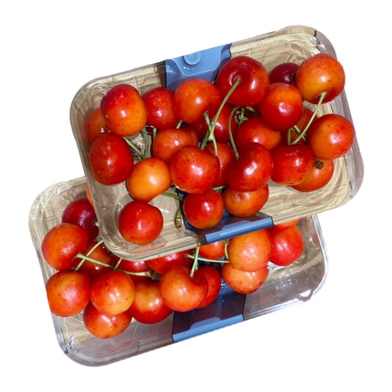 やまがた さくらんぼ 紅秀峰 Lサイズ 400g(200g×2パック入り) 1