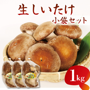 【オンライン決裁限定】生しいたけ 小分け 袋 1kg 