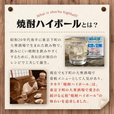 ふるさと納税 京都市 【タカラ】焼酎ハイボール「キレの5%」 サイダー割り  350ml×24本 | チューハイ お酒 |  | 01