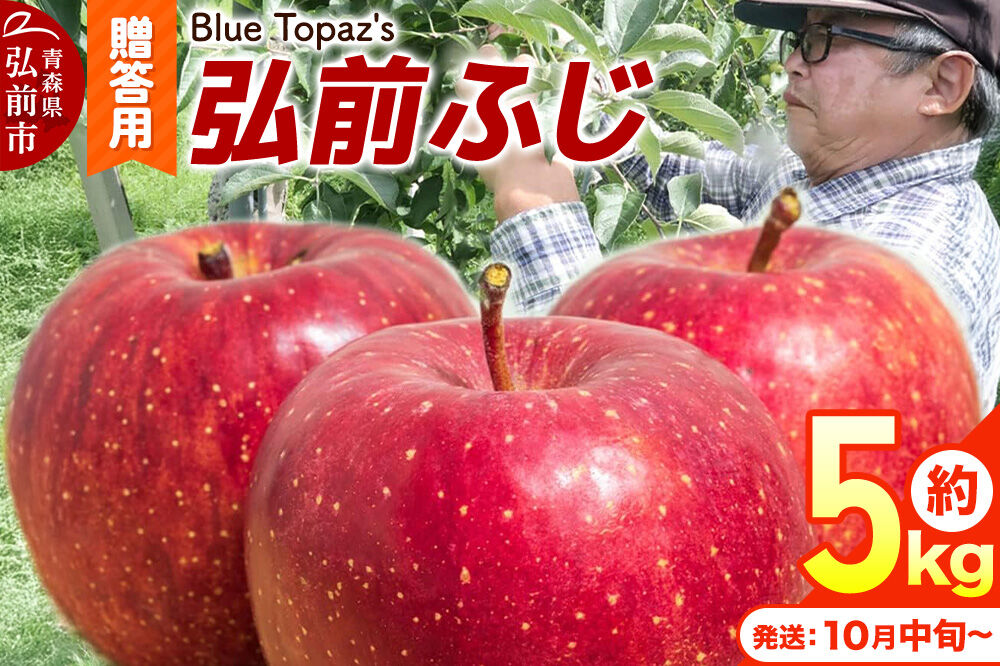 【26年10月中旬〜発送】りんご 弘前ふじ【贈答用】約5kg 内のし付き 青森県 弘前市 [先行予約 アップル おいしい ふじ りんご 果実 果物 赤色 津軽 糖度 美味 林檎]