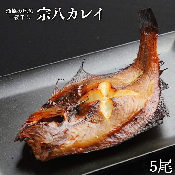 【ふるさと納税】漁協の地魚一夜干し 宗八カレイ 大サイズ(5尾入)[02-1249] 北海道 浦河 ふるさと納税 宗八カレイ カレイ 一夜干し 干物 送料無料